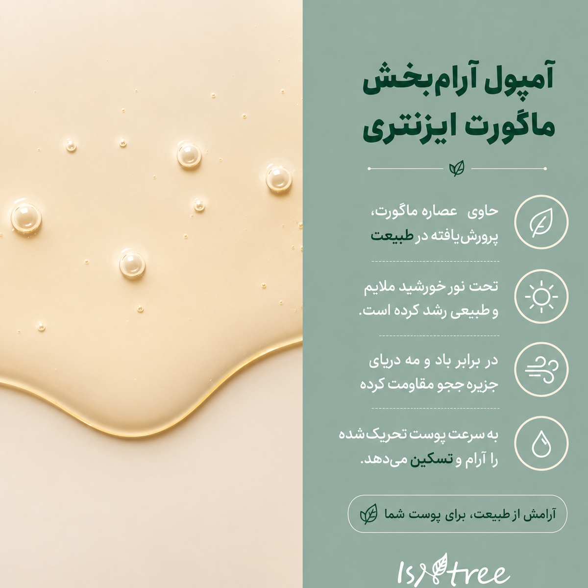 آمپول تسکین دهنده ماگورت ایزنتری 4 ترکیبات آرام بخش آمپول ایزنتری