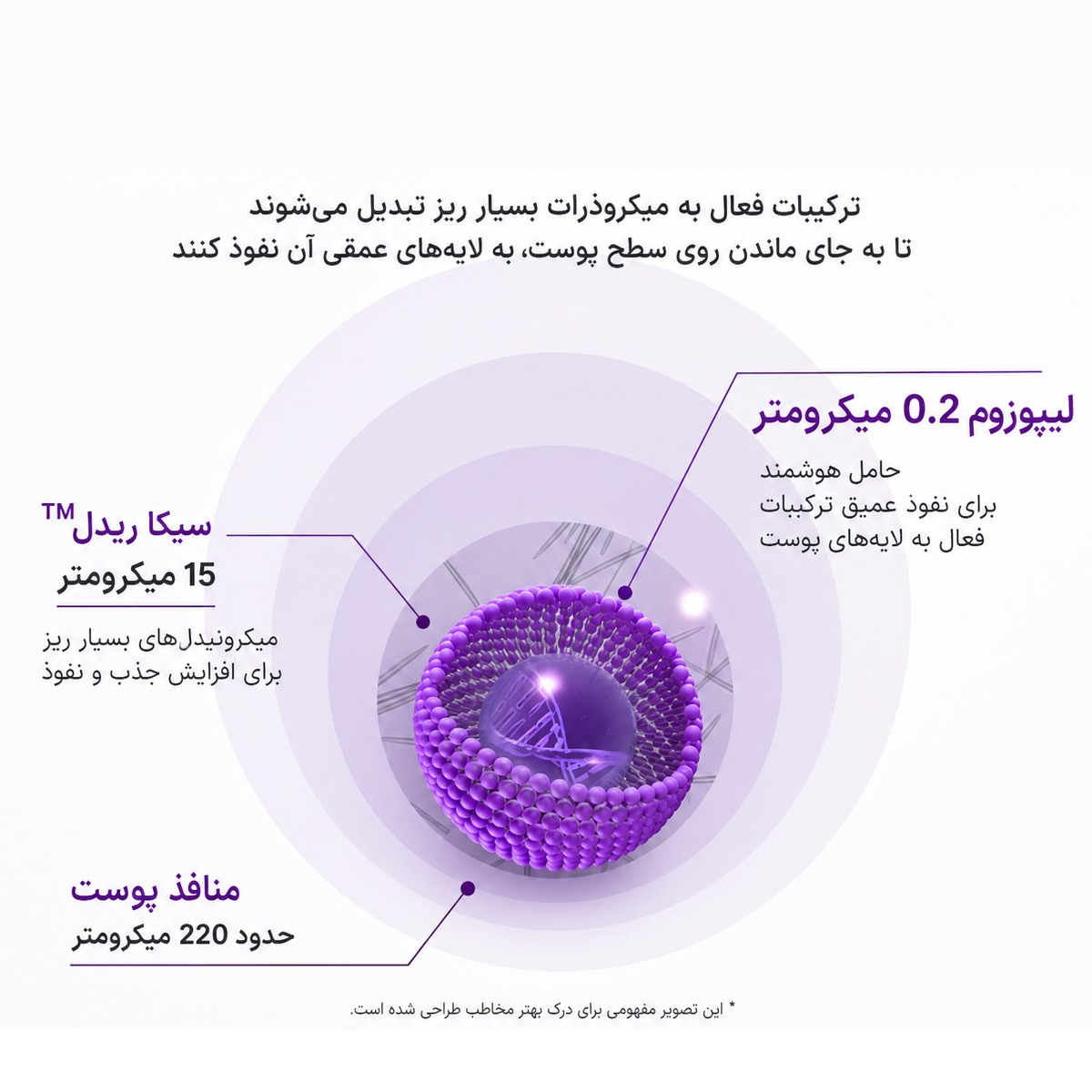 سرم لیفتینگ ریدل شات وی تی کازمتیک 7 ویژگی های سرم لیفتینگ ریدل شات وی تی کازمتیک